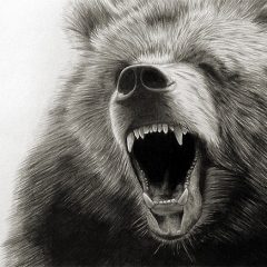 the philosopher king